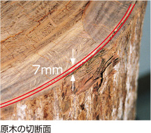 原木の切断面