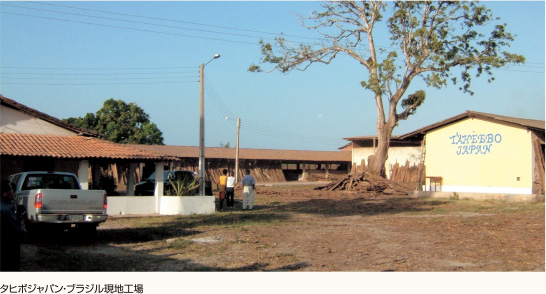 タヒボジャパン・ブラジル現地工場